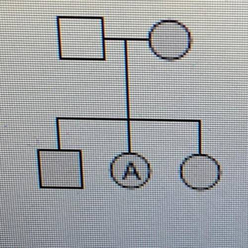 In the family tree below, people with the recessive trait of attached earlobes

are shaded gray.
1