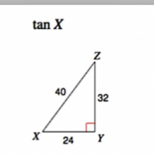Help please .

What is the trig ratio for the picture below?
What is the right answer?
40
tanx= 
4