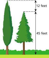 Mary compares the heights of two trees. Their heights are shown. Write and solve an equation to fin