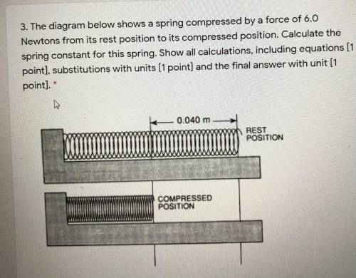 The diagram below shows a spring compressed by a force of 6.0 Newtons from its rest position to its