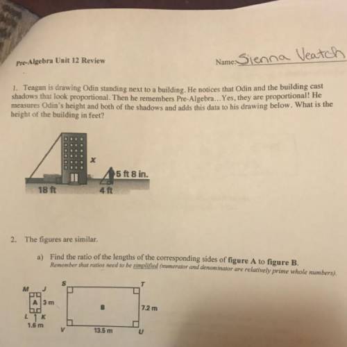 Please help, math, ratios. It’s the tip questions about the building and the person and the shadows