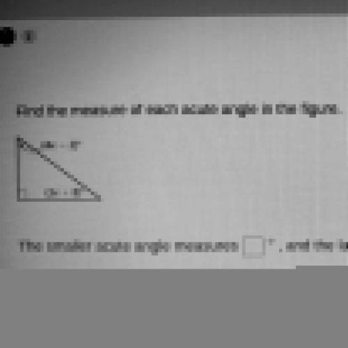 Find the measure of each acute angle in the figure.
