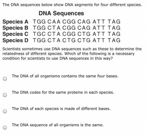 HELP ME QUICKKK

The DNA sequences below show DNA segments for four different species.
Scientists