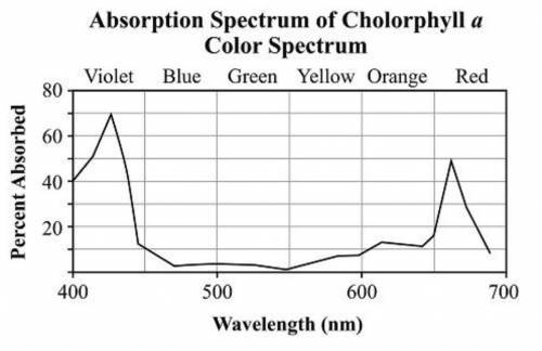 The graph below shows which wavelengths, in nanometers (nm), and corresponding colors of light are