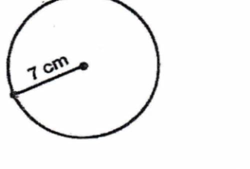 What is the circumference of this circle? (Use 3.14 for pi)