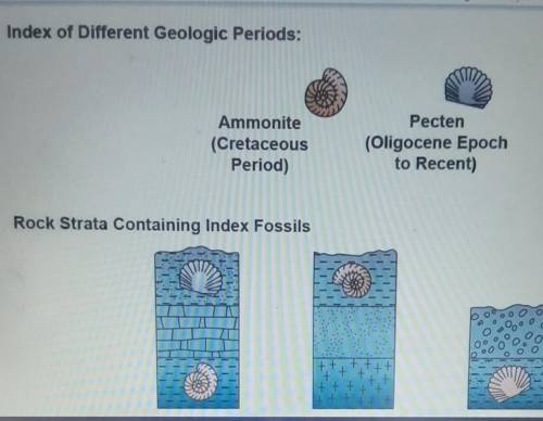 Please helpppp

Table B: Rock Layer Relative Age with Index Fossils Rock Layer Drawing Geologic Ag