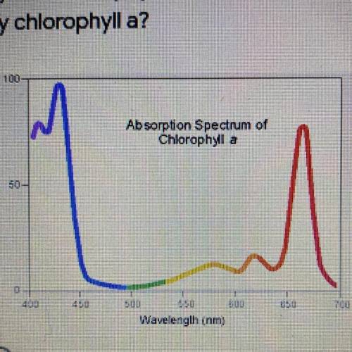 3) The graph below shows the absorption of different wavelengths of light 1 point

by the chloroph