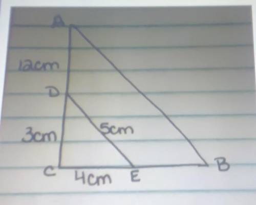 I 
Using the diagram below, to find the lengths of segments AC, CB, AB,.