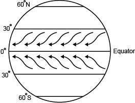 The image below shows a certain type of global wind:

The Earth is shown as a circle. Equator is s
