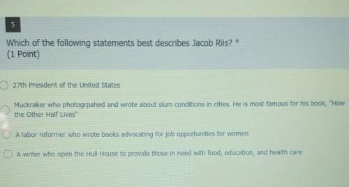 Which of the following statements best describes Jacob Riis?