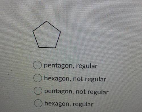 Classify the polygon by its number of sides. does the polygon appear to be regular or not regular