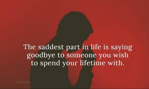 The saddest part in life is saying goodbye to someone you wish to spend your lifetime with.