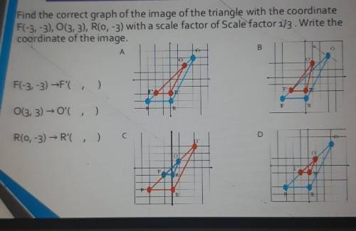 Find the correct graph
