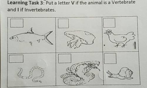 Learning Task 3: Put a letter V if the animal is a Vertebrateand I if Invertebrates.