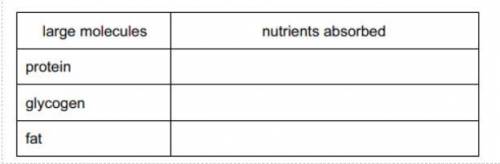 Complete the table below to show the absorption of micro (small) nutrients, that are formed by the
