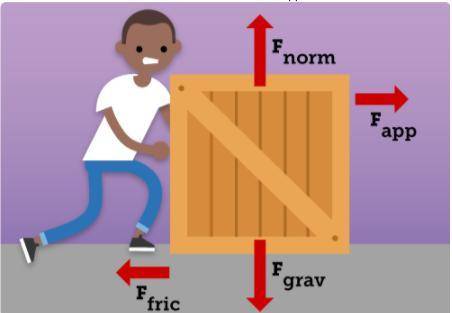 Please help I don't understand.

Analyze the forces acting on the crate shown in the diagram. Expl