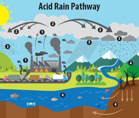 Can i get information on acid rain?​