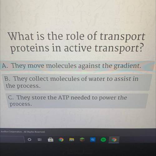 What is the role of transport

proteins in active transport?
Please help asap!! :)