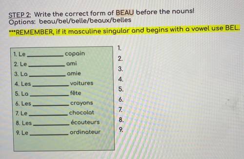 Write the correct form of BEAU before the nouns!

Options : beau/bel/belle/beaux/belles
***REMEMBE