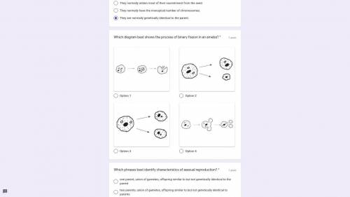 Which diagram best shows the process of binary fission in an ameba?