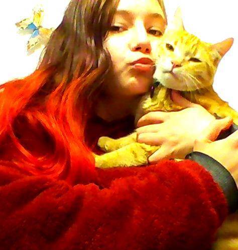 How cute is my cat his name is ginger ale i love him <3