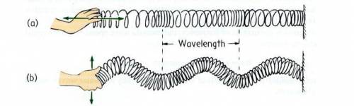 Use the picture below to answer question 9 and 10.

9. In the diagram above, which wave type is d