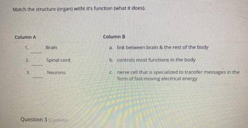 Match the structure (organ) witht it's function (what it does).

Column A
Column B
1.
Brain
a. lin