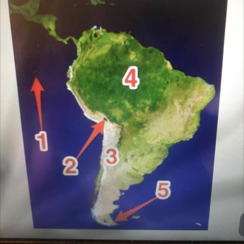 Which of these features is NOT labeled by a number or arrow on the map?

A)
The Amazon River
The C