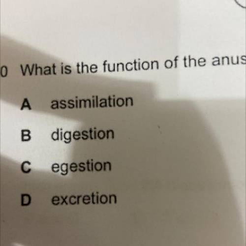 What is the function of the anus?