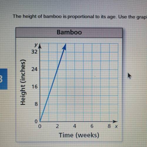 The height of bamboo is proportional to its age. Use the graph to determine how long it takes for b
