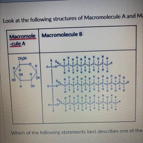 What macromolecules are a and b?

answer choices:
1) lipid
2) carbohydrate
3) protein