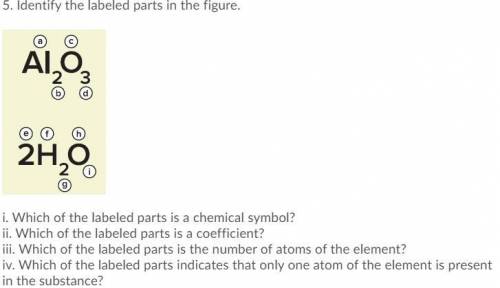 Identify the labeled parts in the figure.

i. Which of the labeled parts is a chemical symbol?
ii.