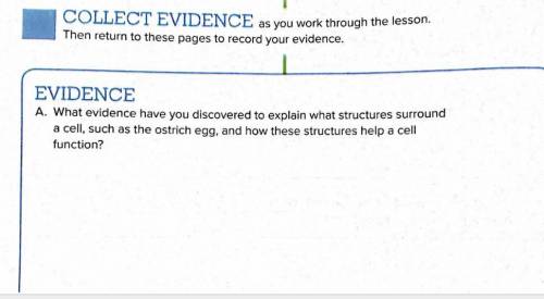 what evidence have you discovered to explain what structure surrounds a cell, such as an ostrich eg