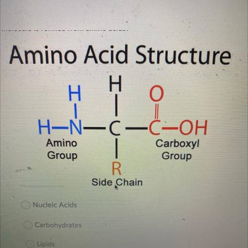 The diagram below shows the general structure of an amino acid. Which type of

molecule is formed