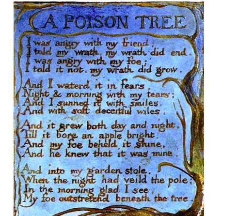 What is the theme of A Poison Tree?

Let go of your anger.
Anger will hurt others.
Allow your an