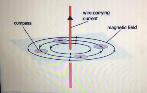 What are the particles demonstrating in this image?

O electromagnetic field
O magnetic field
O el