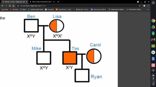 PLZ HELP ASAP

Use the pedigree on the right to determine the genotype of Ryan.
A.) XRXR
B.) XRY
C