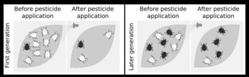 What happens to an insect population when it is treated with a pesticide? _________________________