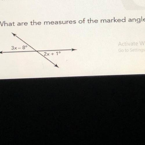 What are the measures of the marked angles? 
PLEASE HELP ME IF YOU CAN