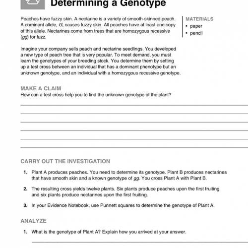 Help me pls

1.What is the genotype of plant A? 
2.Plant A is crossed with a plant they has a geno