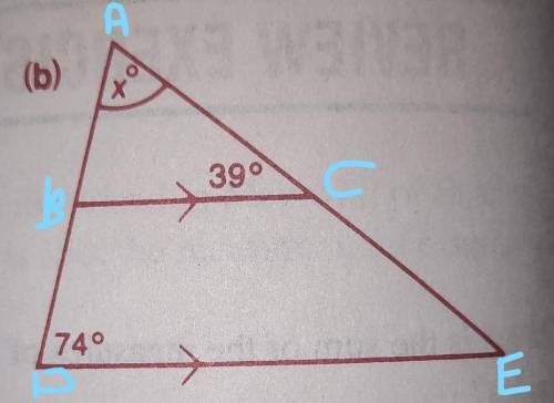 Please help me find the value of x​