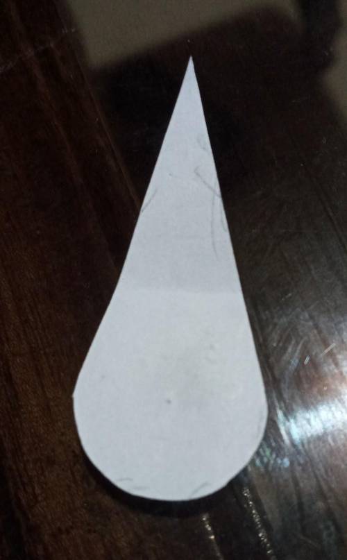 What shape is this called in mathematical term​