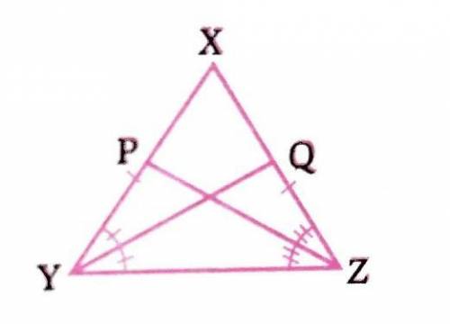 In the adjoining figure, XY = XZ . YQ and ZP are the bisectors of  XYZ and  XZY respectively. Prove