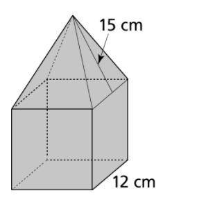 Graham carves a block of wood shaped like a cube with a square pyramid on top. How much paint will