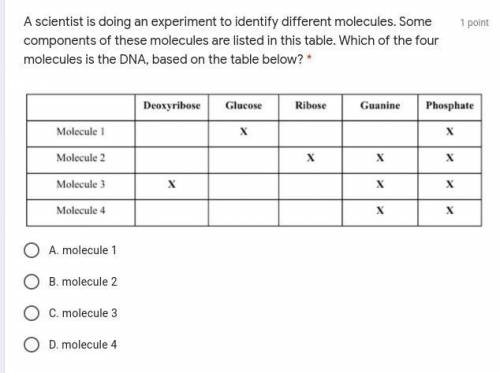 Need help biology i have no clue