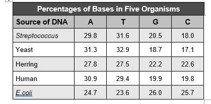All DNA is composed of the four bases shown in the table. How is the pattern in the data useful for