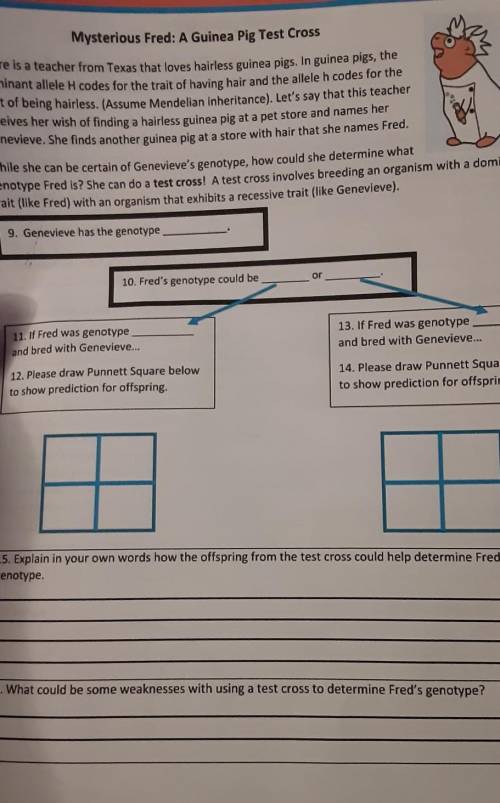 Need help with this question for my son biology ​