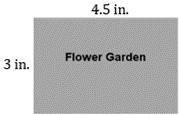 Penny’s backyard contains a flower garden. The dimensions of the actual garden are 5 feet by 7½ fee