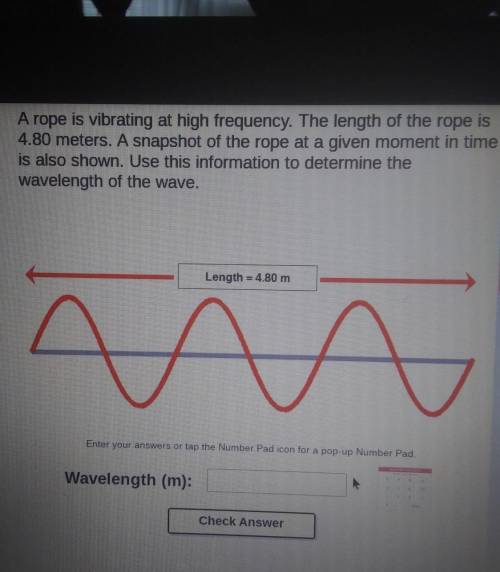 A rope is vibrating at high frequency.The length of the rope is 4.80 meters.A snapshot of the rope