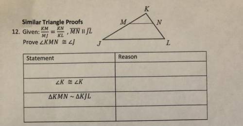 Help me with similar triangle proofs.